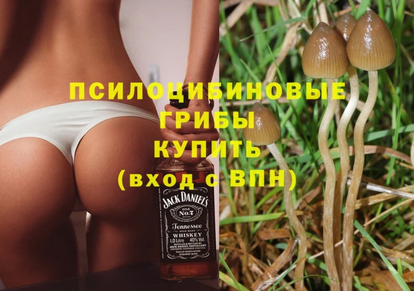прущие грибы Армянск