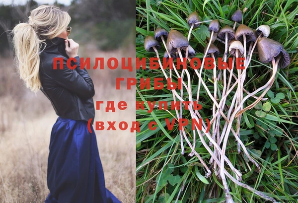 бутират Заречный