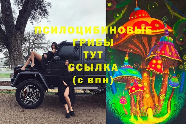прущие грибы Армянск
