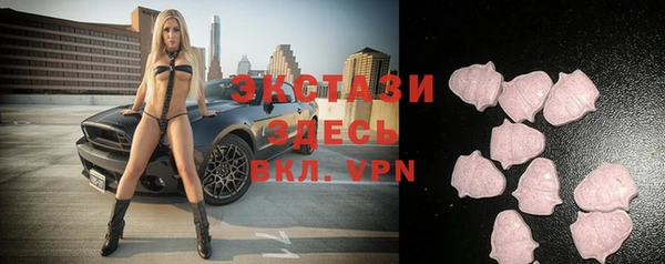 прущие грибы Армянск