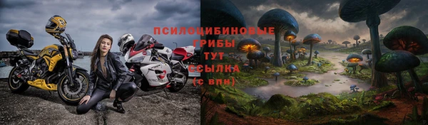 прущие грибы Армянск